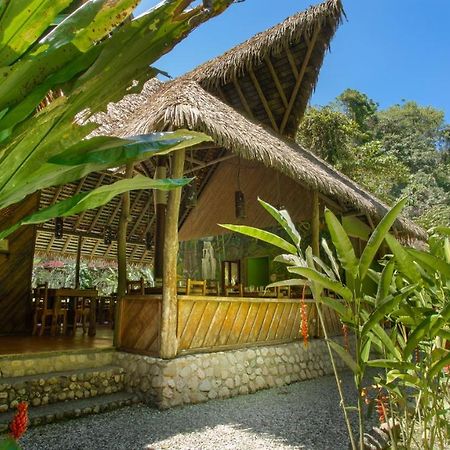 Esquinas Rainforest Lodge Golfito Kültér fotó