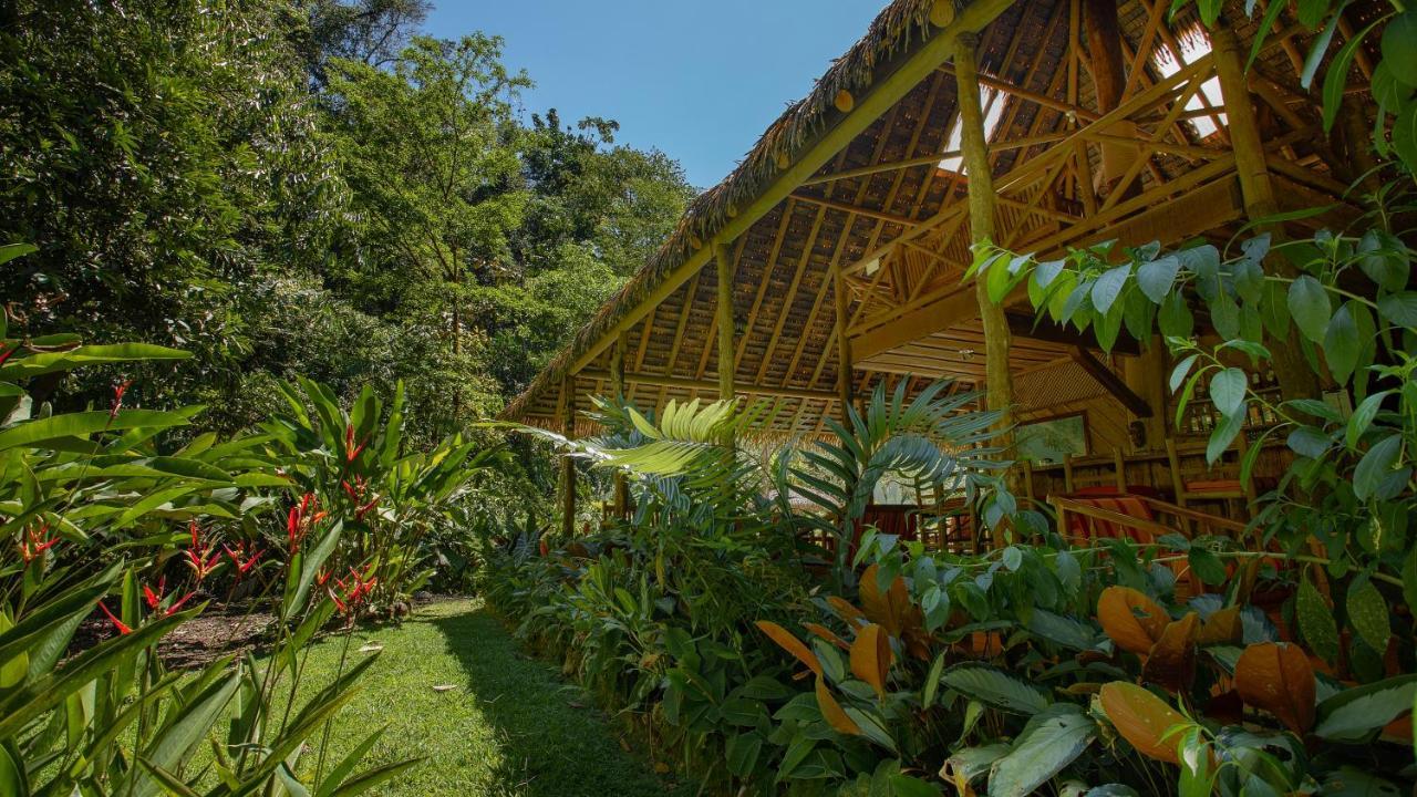 Esquinas Rainforest Lodge Golfito Kültér fotó