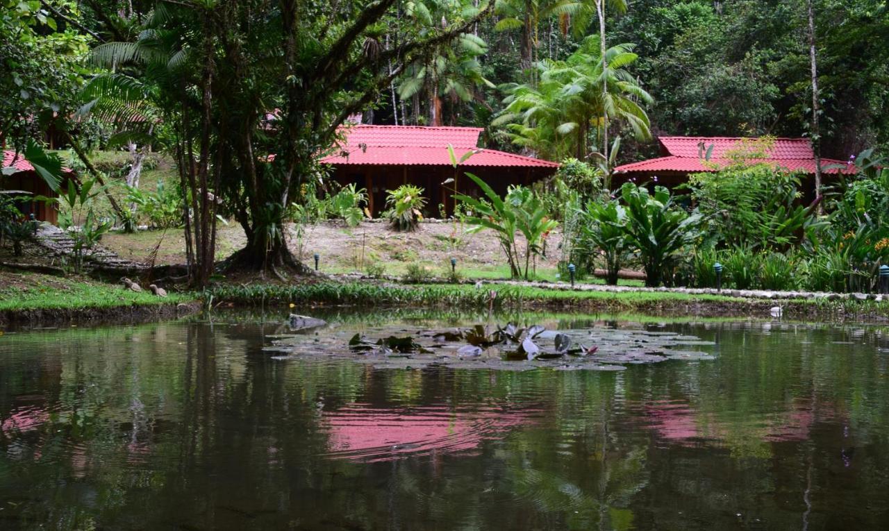 Esquinas Rainforest Lodge Golfito Kültér fotó