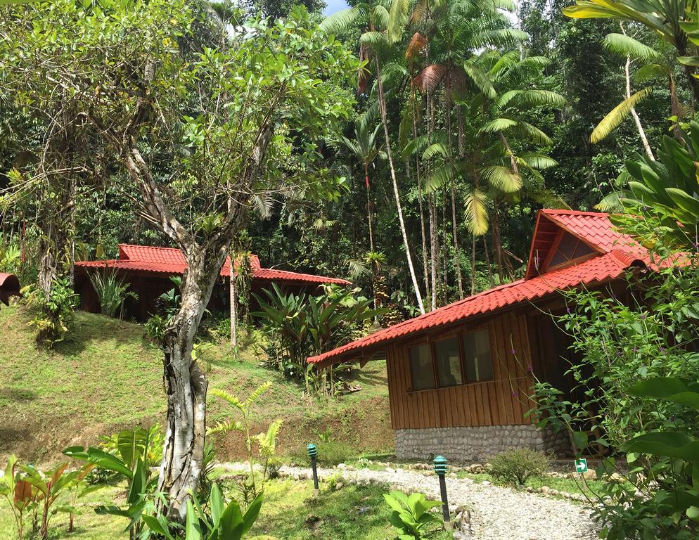 Esquinas Rainforest Lodge Golfito Kültér fotó