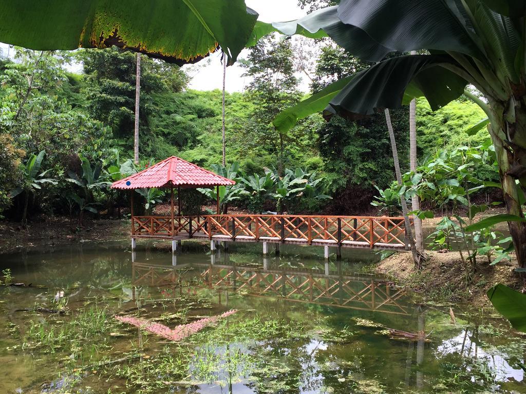 Esquinas Rainforest Lodge Golfito Kültér fotó