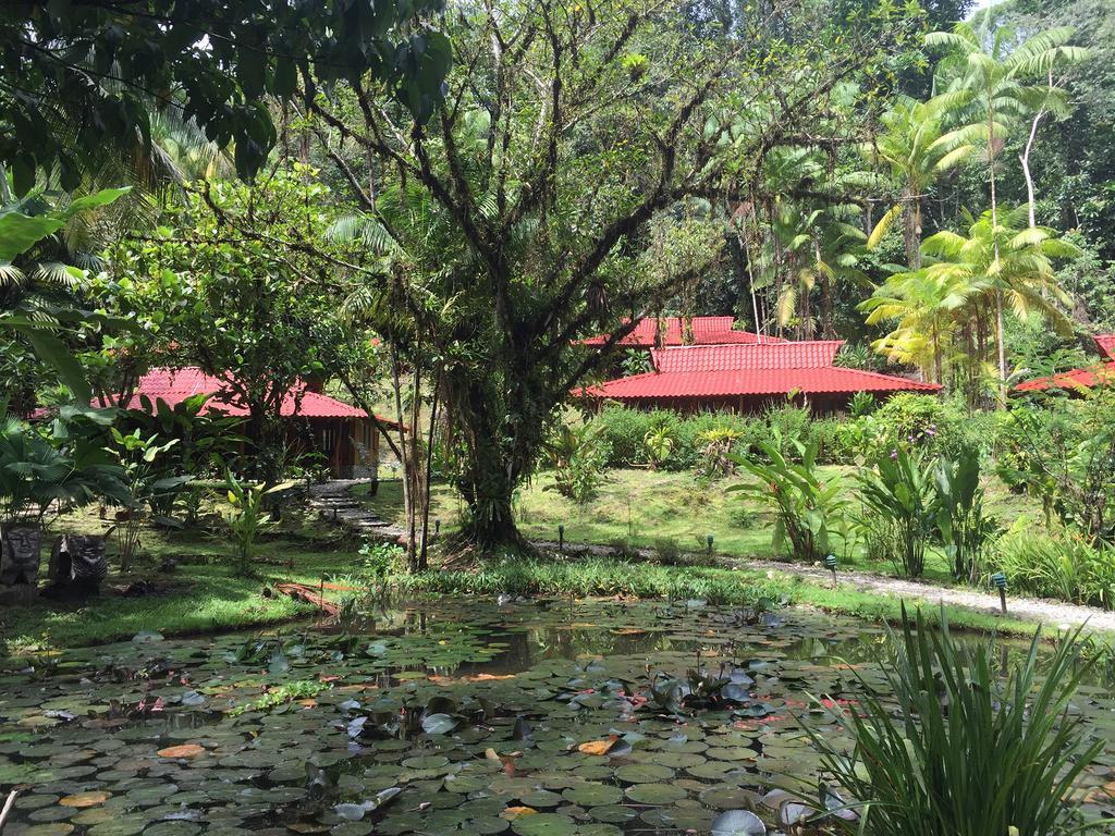 Esquinas Rainforest Lodge Golfito Kültér fotó
