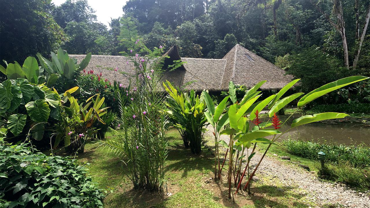 Esquinas Rainforest Lodge Golfito Kültér fotó
