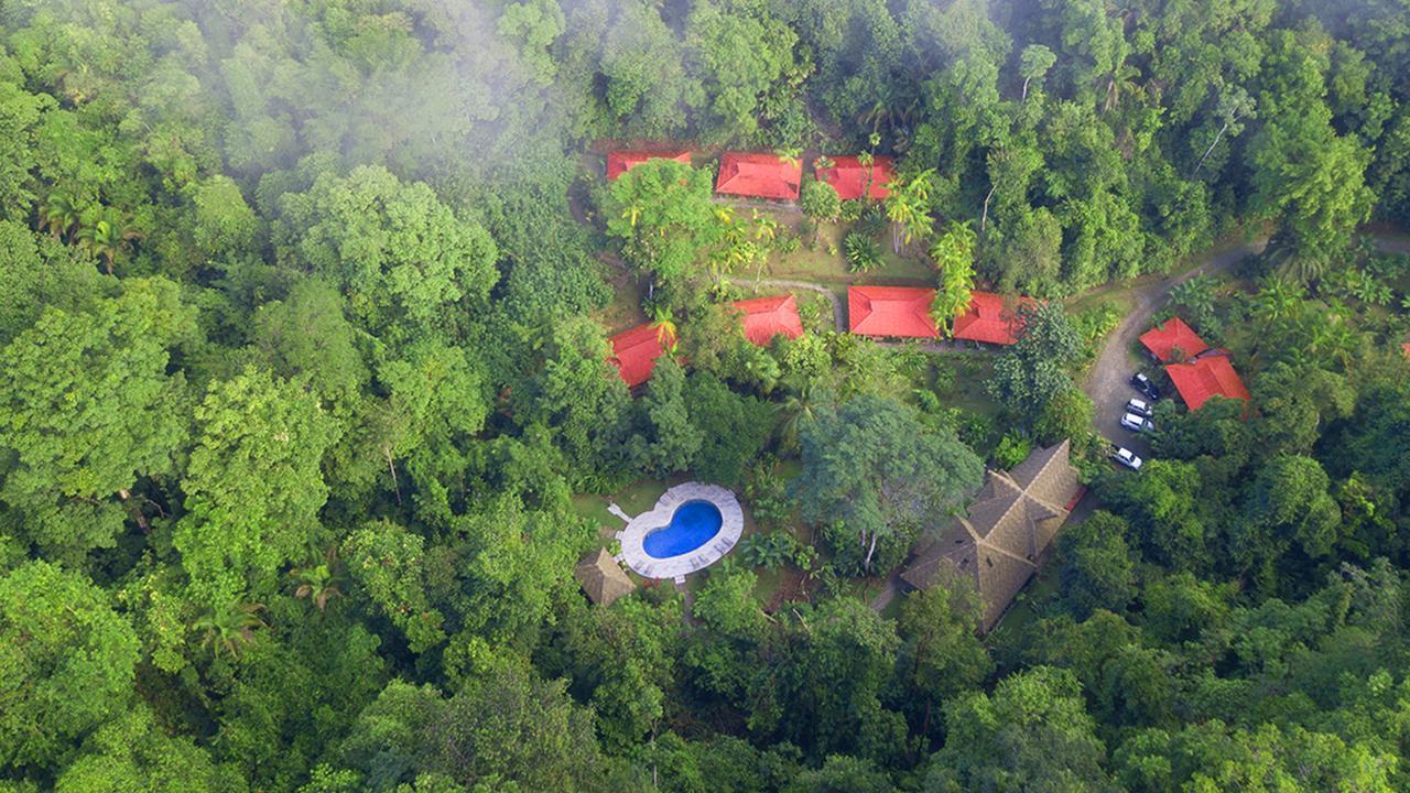 Esquinas Rainforest Lodge Golfito Kültér fotó