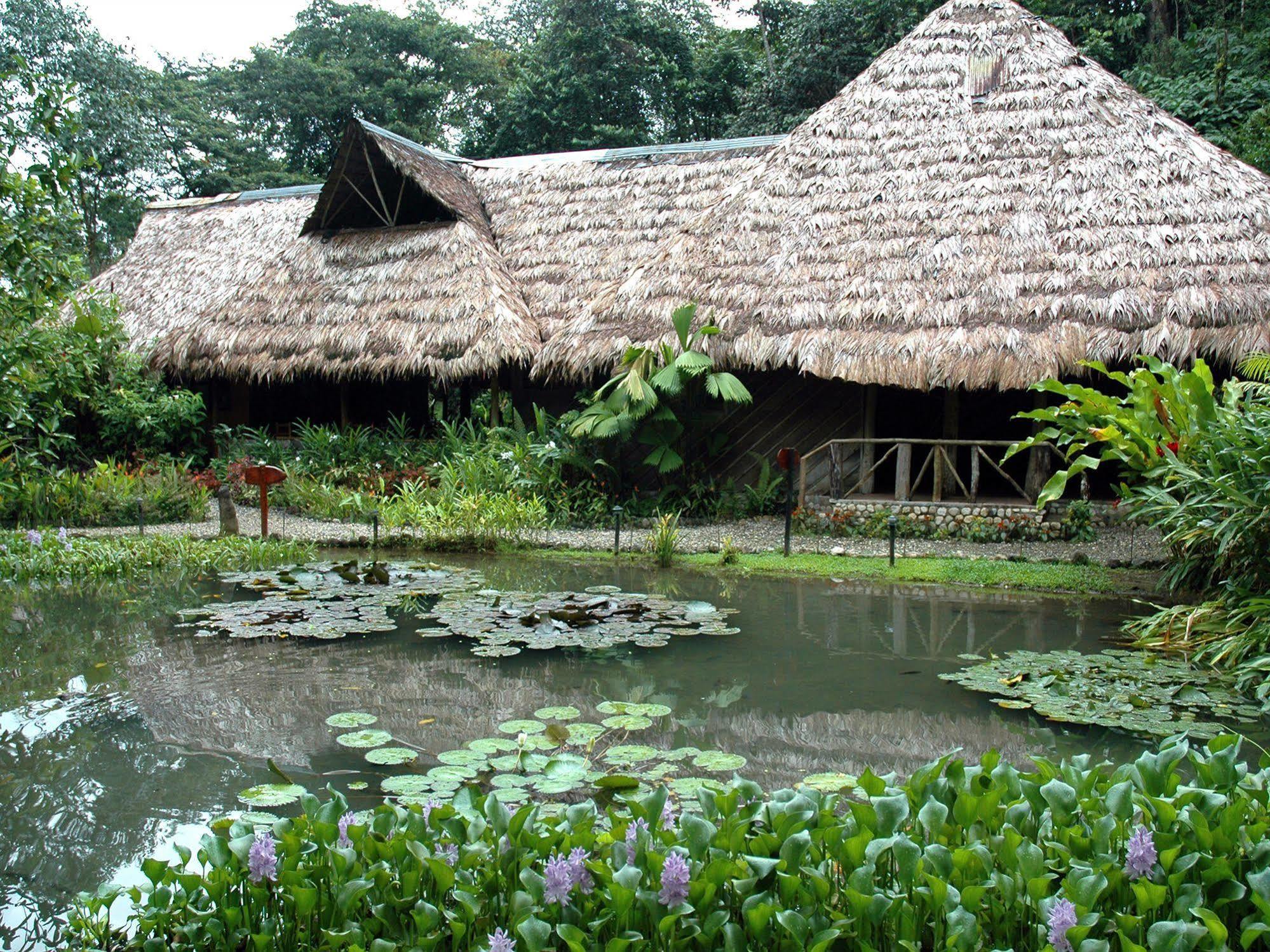 Esquinas Rainforest Lodge Golfito Kültér fotó