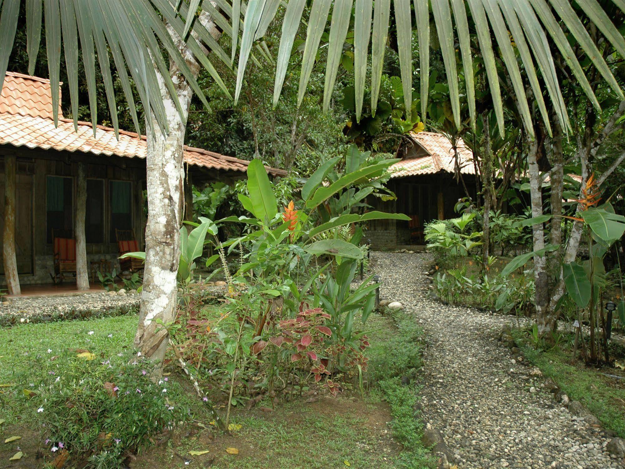 Esquinas Rainforest Lodge Golfito Kültér fotó