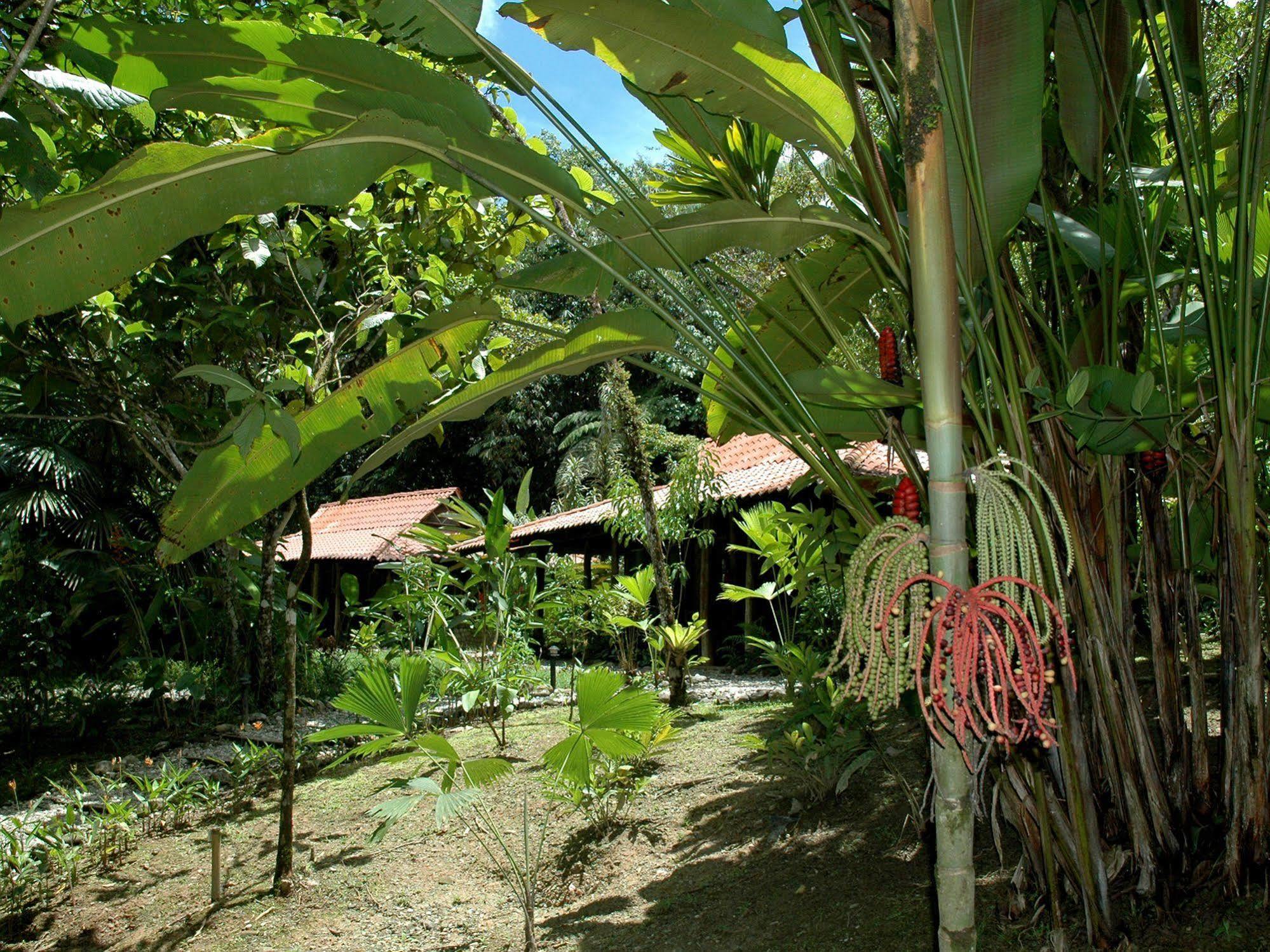 Esquinas Rainforest Lodge Golfito Kültér fotó
