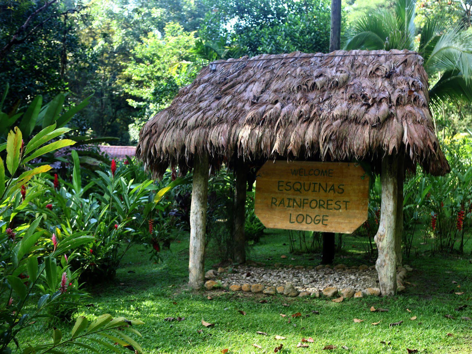 Esquinas Rainforest Lodge Golfito Kültér fotó